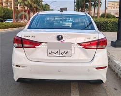 چانگان ئەلسڤین